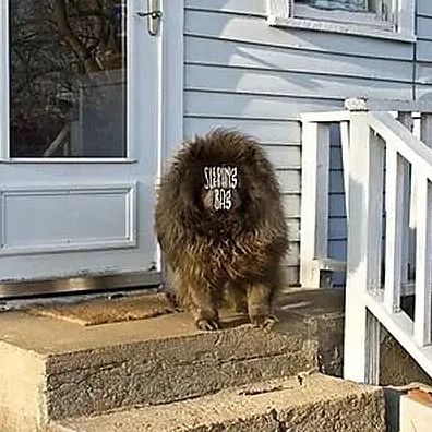 Sleeping Bag