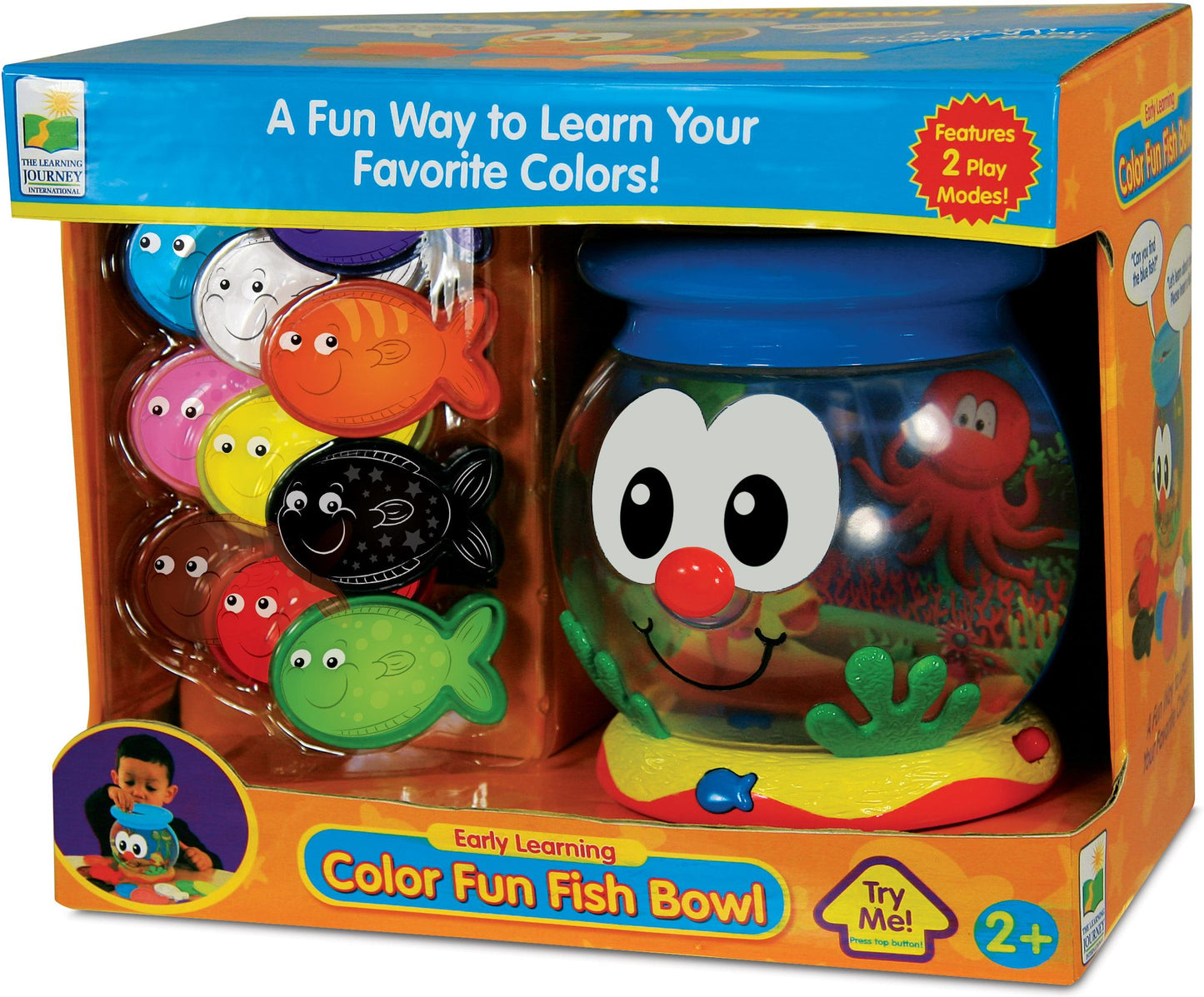 Color Fun Fish Bowl