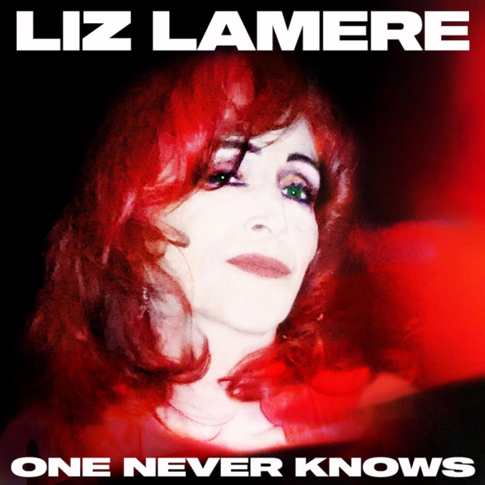 One Never Knows (Liz Lamere)