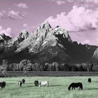 Yellowstone