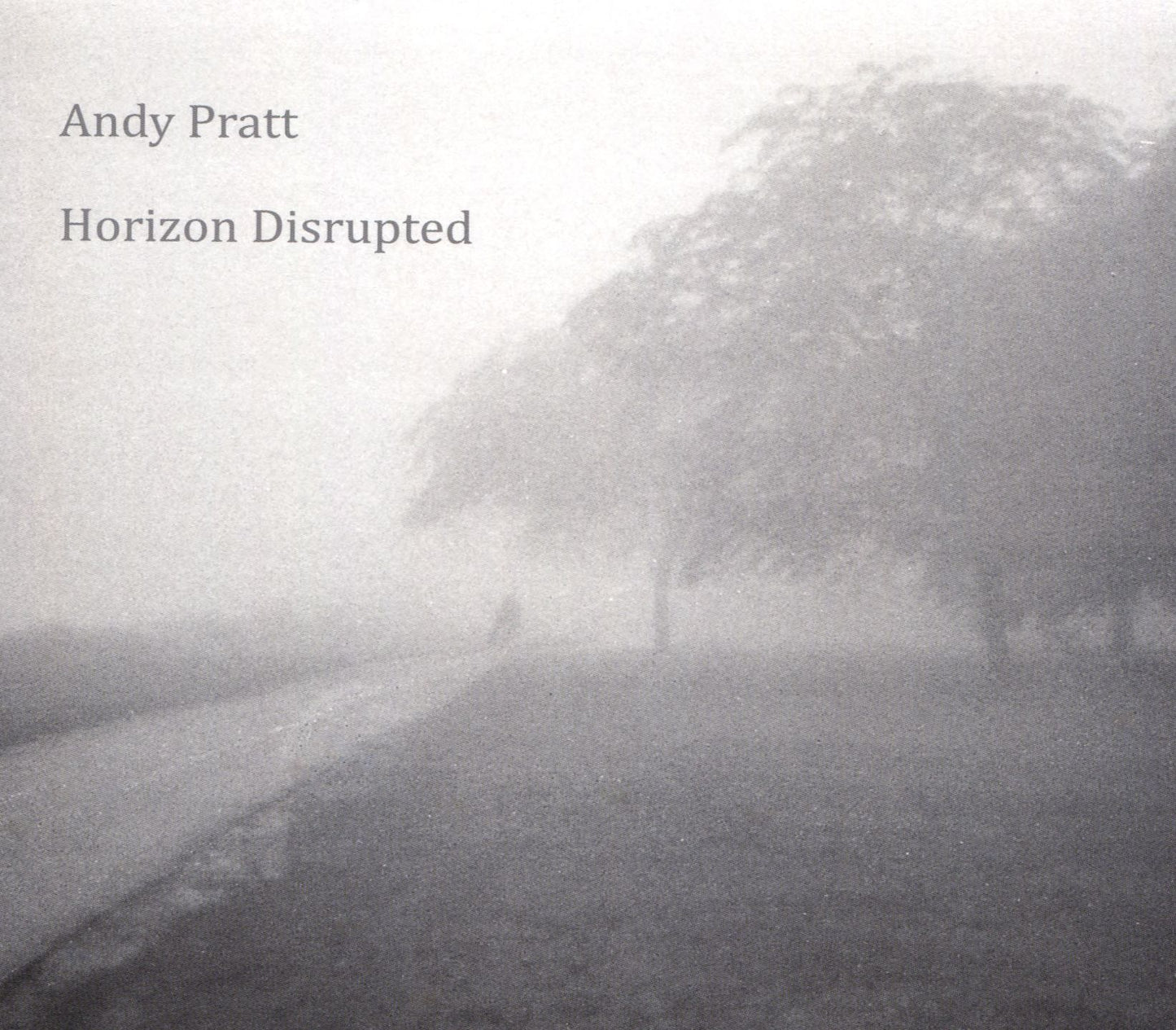 Horizon Disrupted