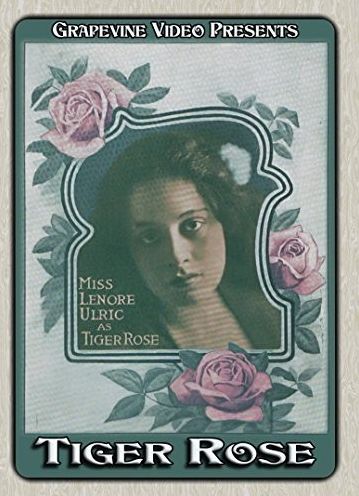 Tiger Rose