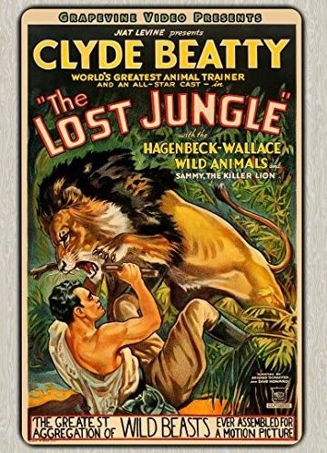 The Lost Jungle