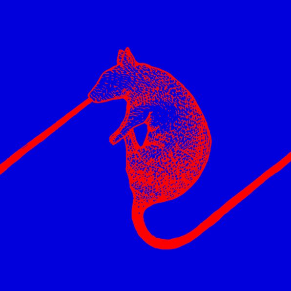 Rats Don't Eat Sythesizers