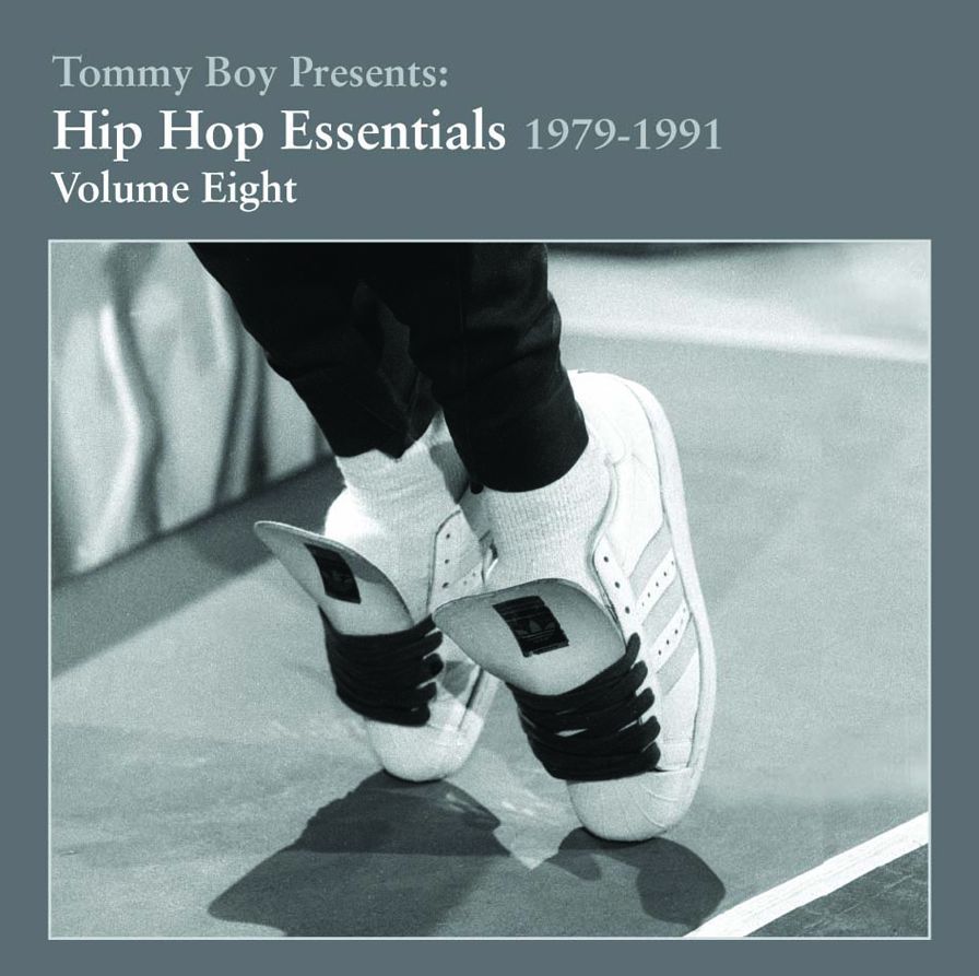 Hip Hop Essentials, Vol. 8