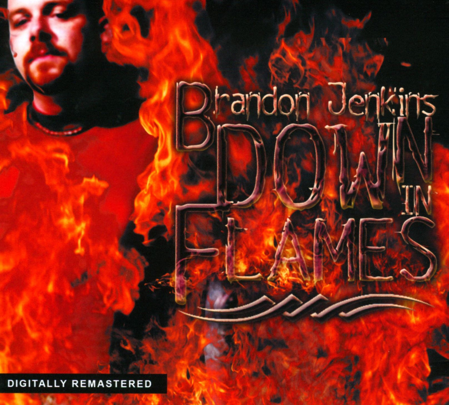 DOWN IN FLAMES