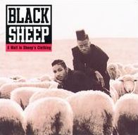 Wolf In Sheep's Clothing