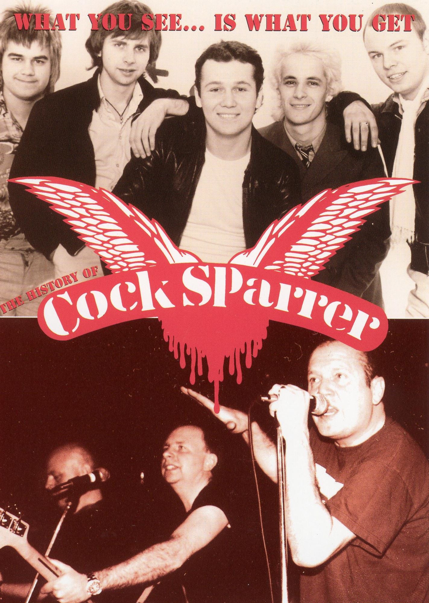 Cock Sparrer: What You See Is What You Get