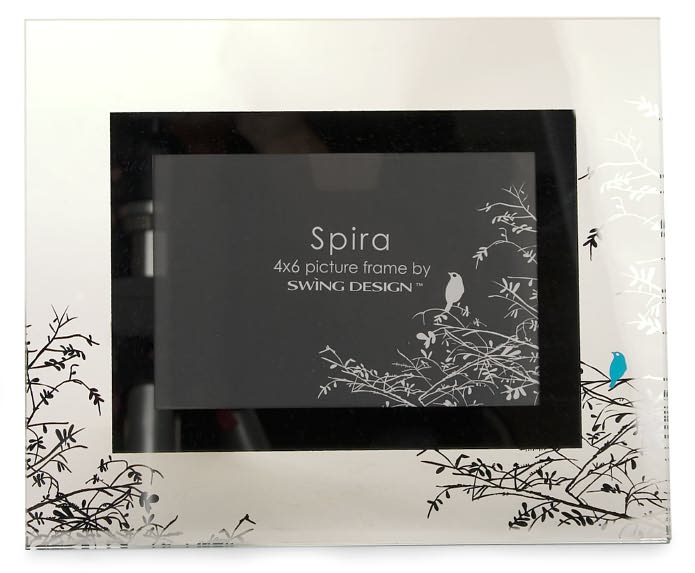 Spira Bird Glass Frame 4x6