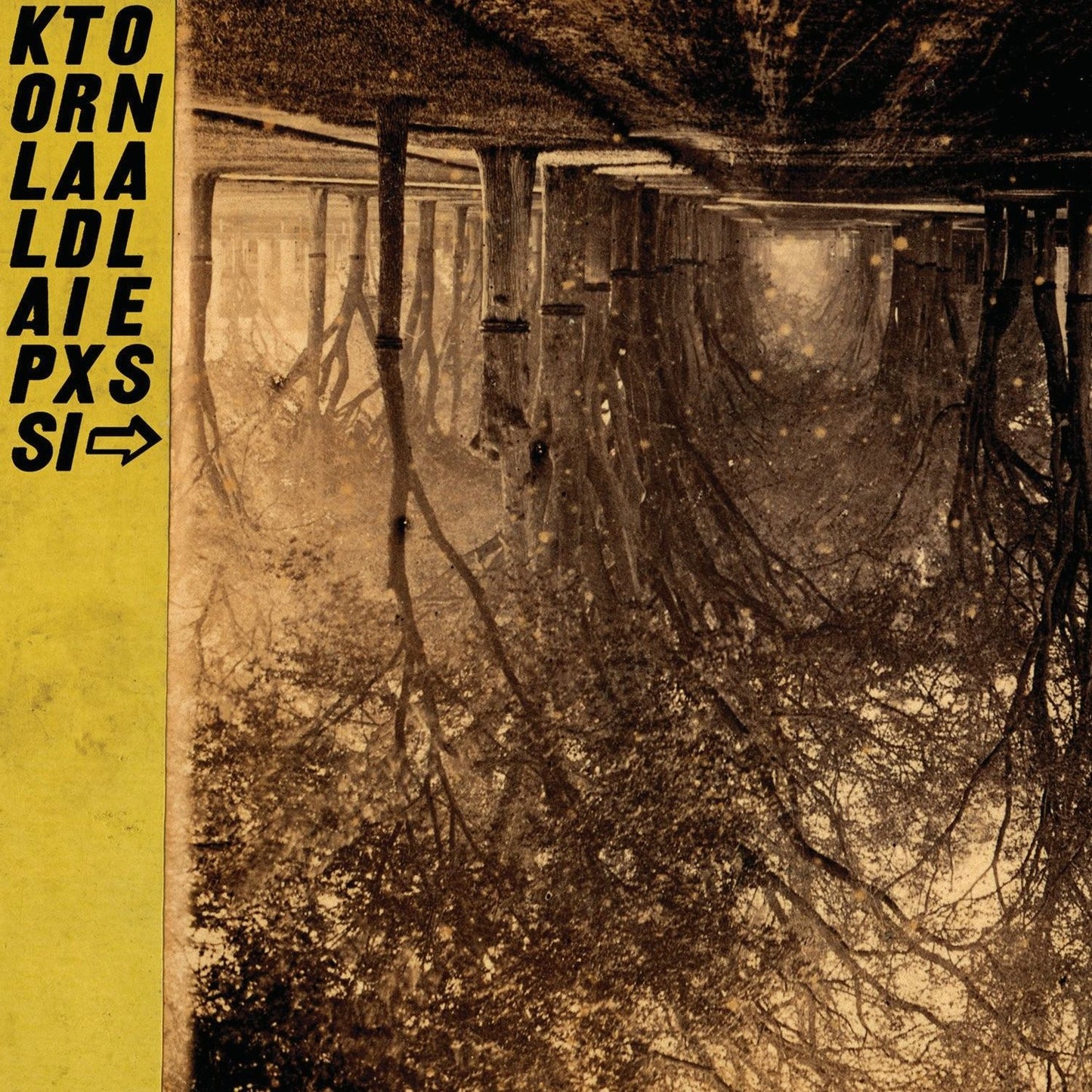 Kollaps Tradixionales [LP/CD] [Deluxe Edition]