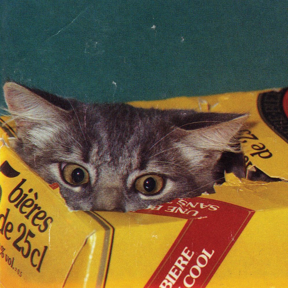 Meow