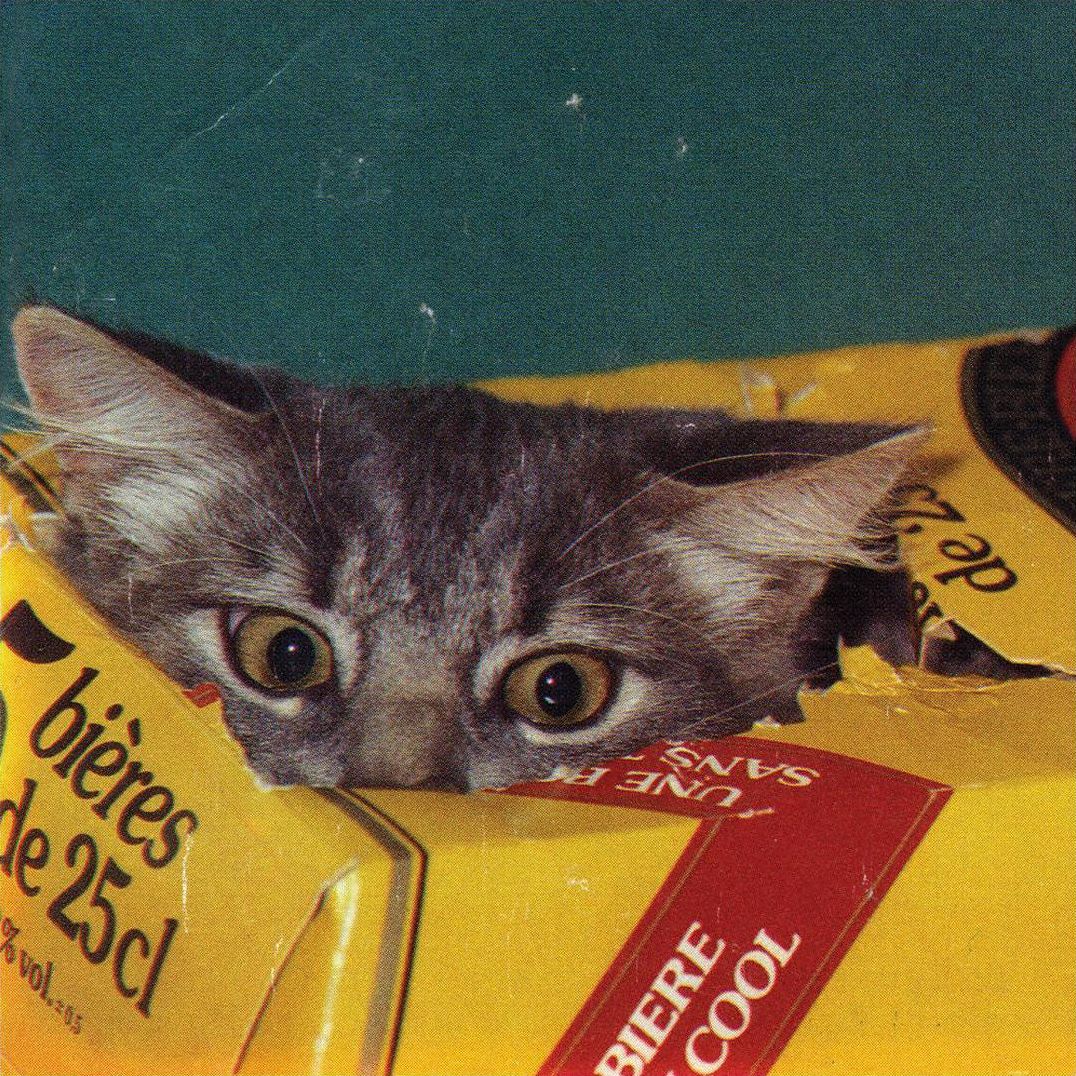 Meow