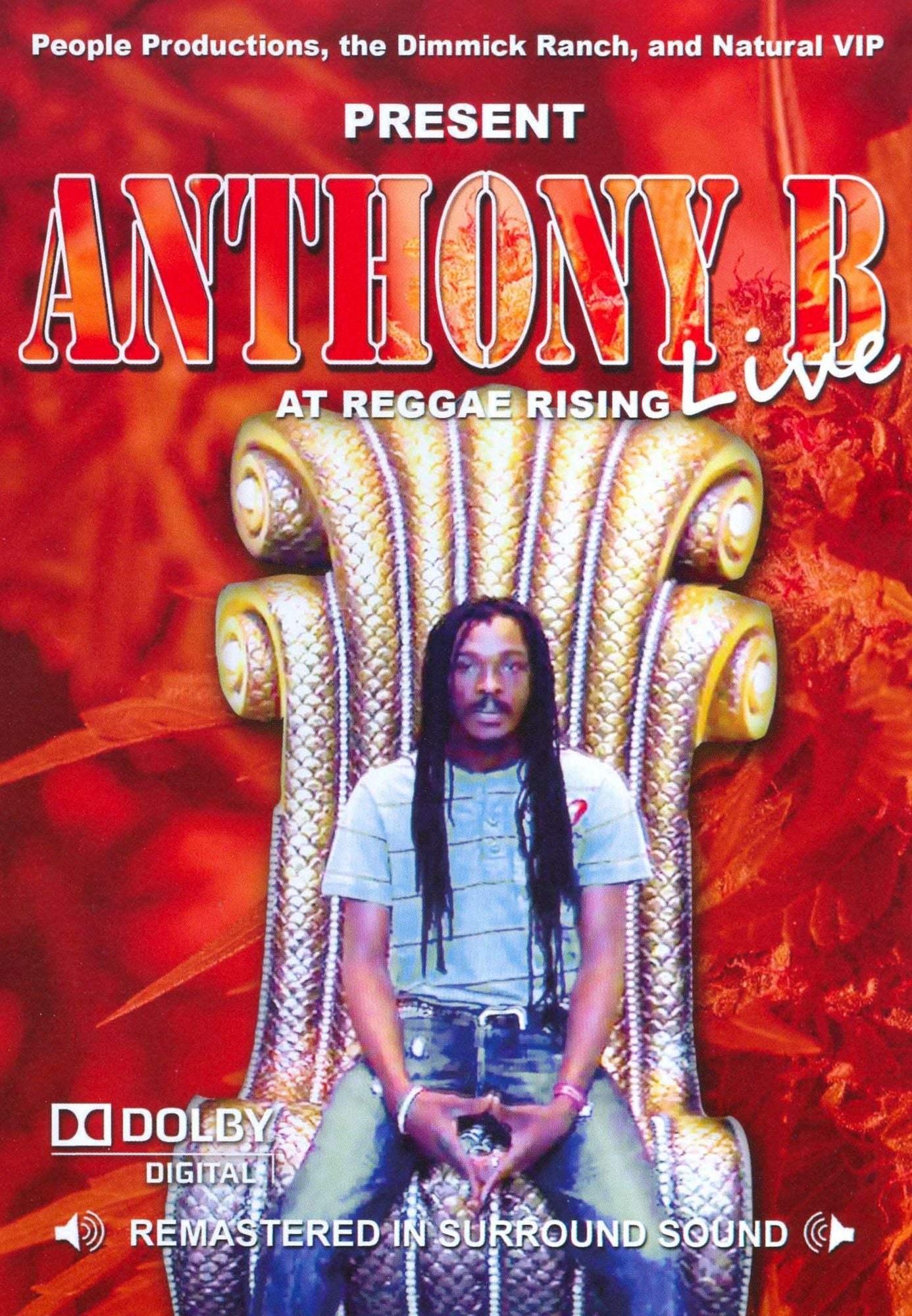 Anthony B: Live at Reggae Rising