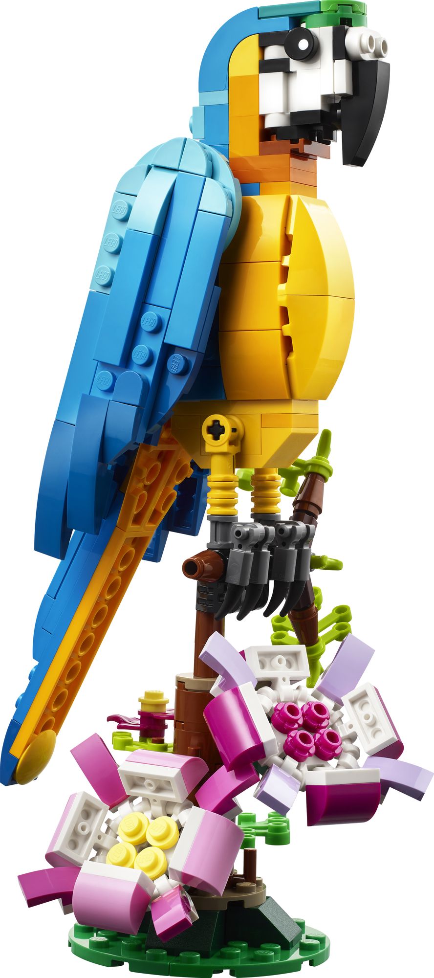 LEGO Creator Exotic Parrot 31136