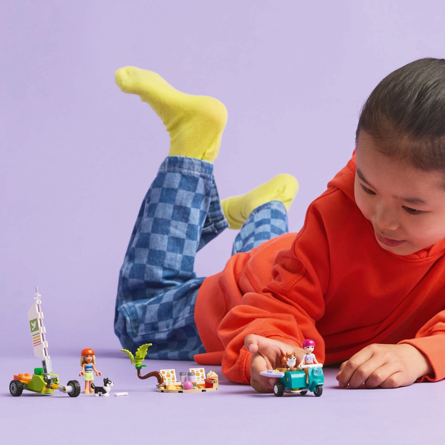 LEGO Friends 42641