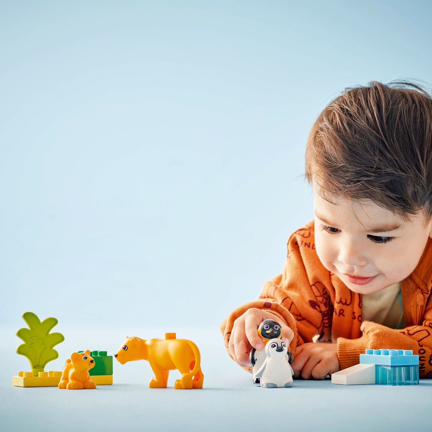 LEGO DUPLO 10442
