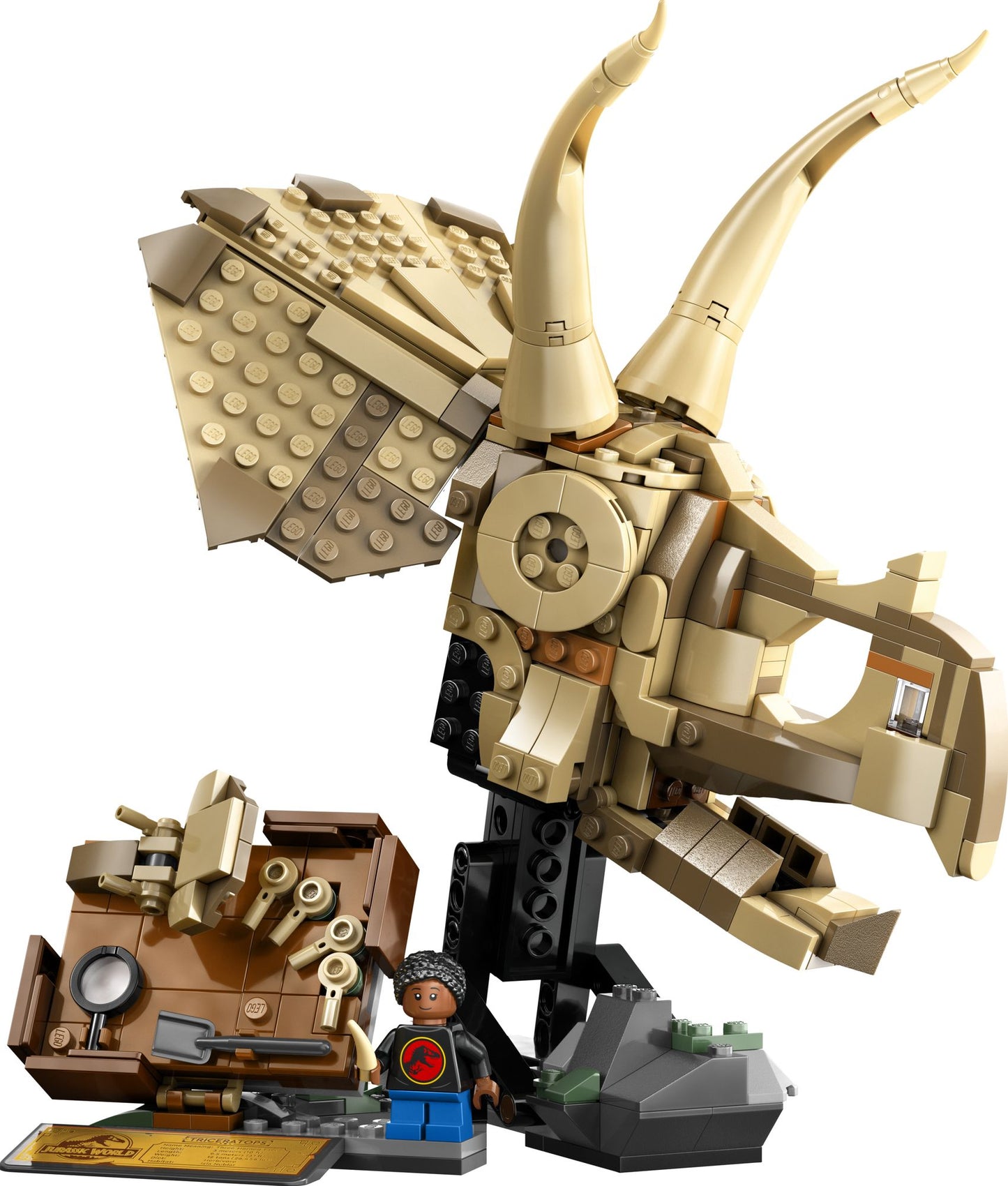 LEGO Jurassic World 76969