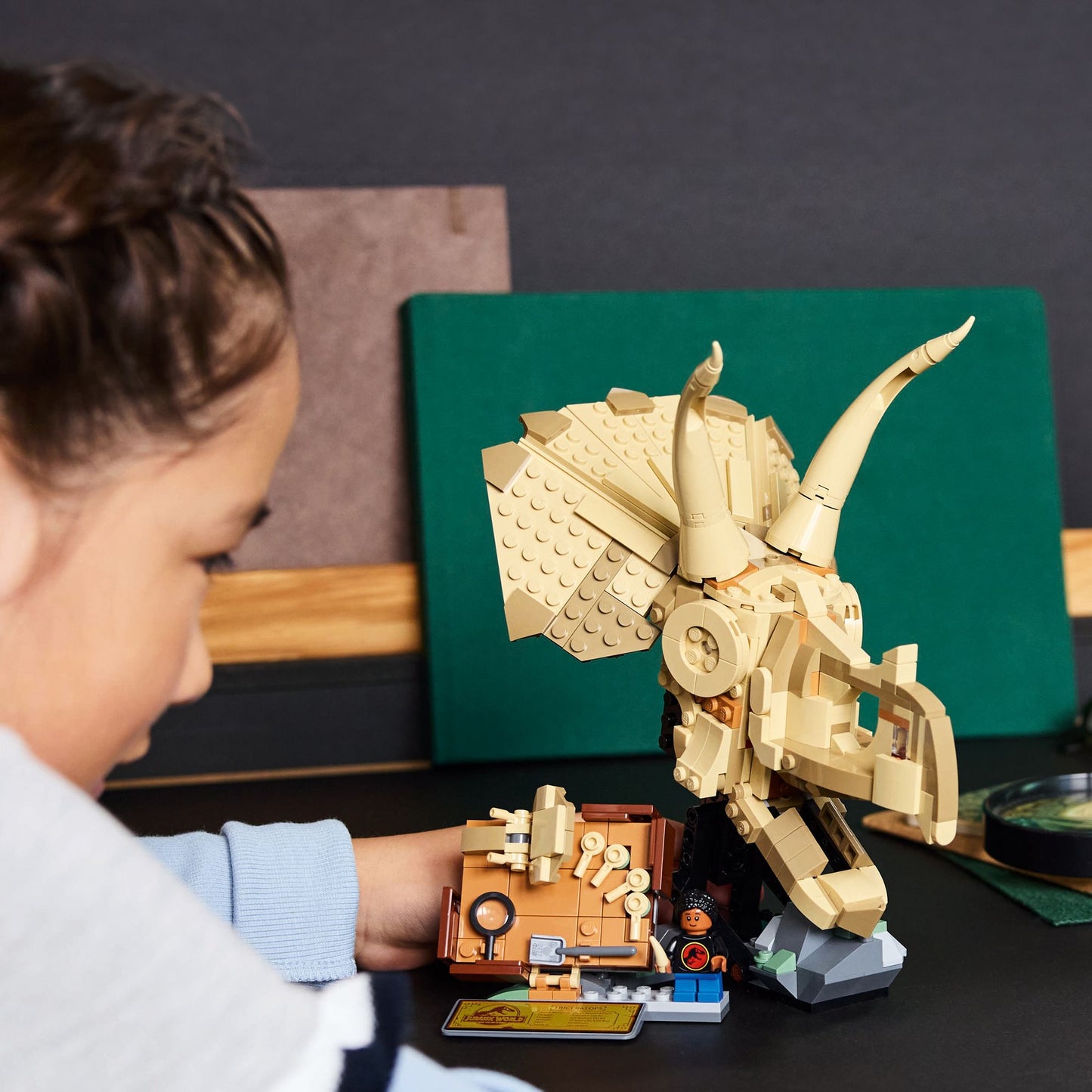 LEGO Jurassic World 76969