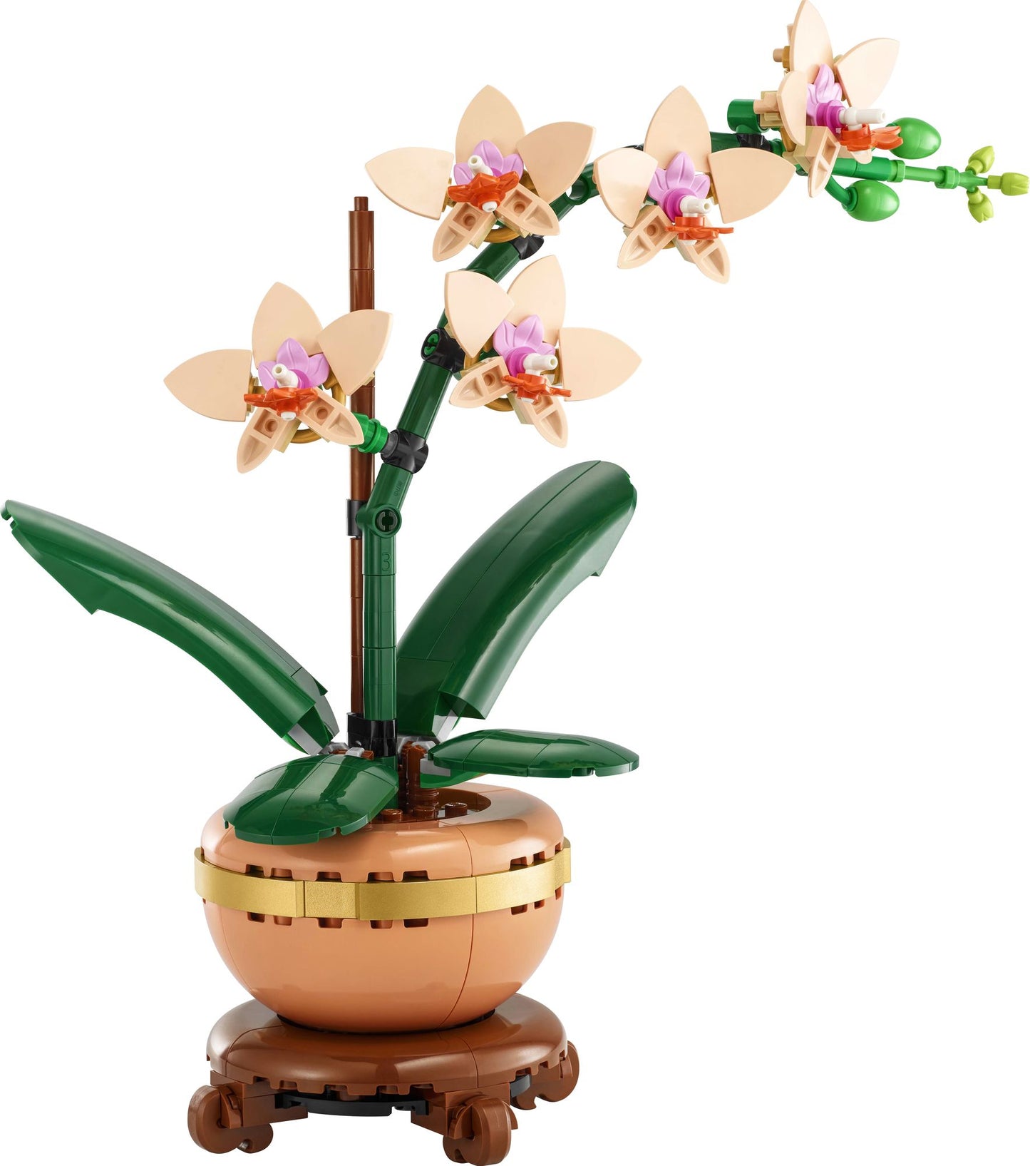 LEGO Botanicals 10343