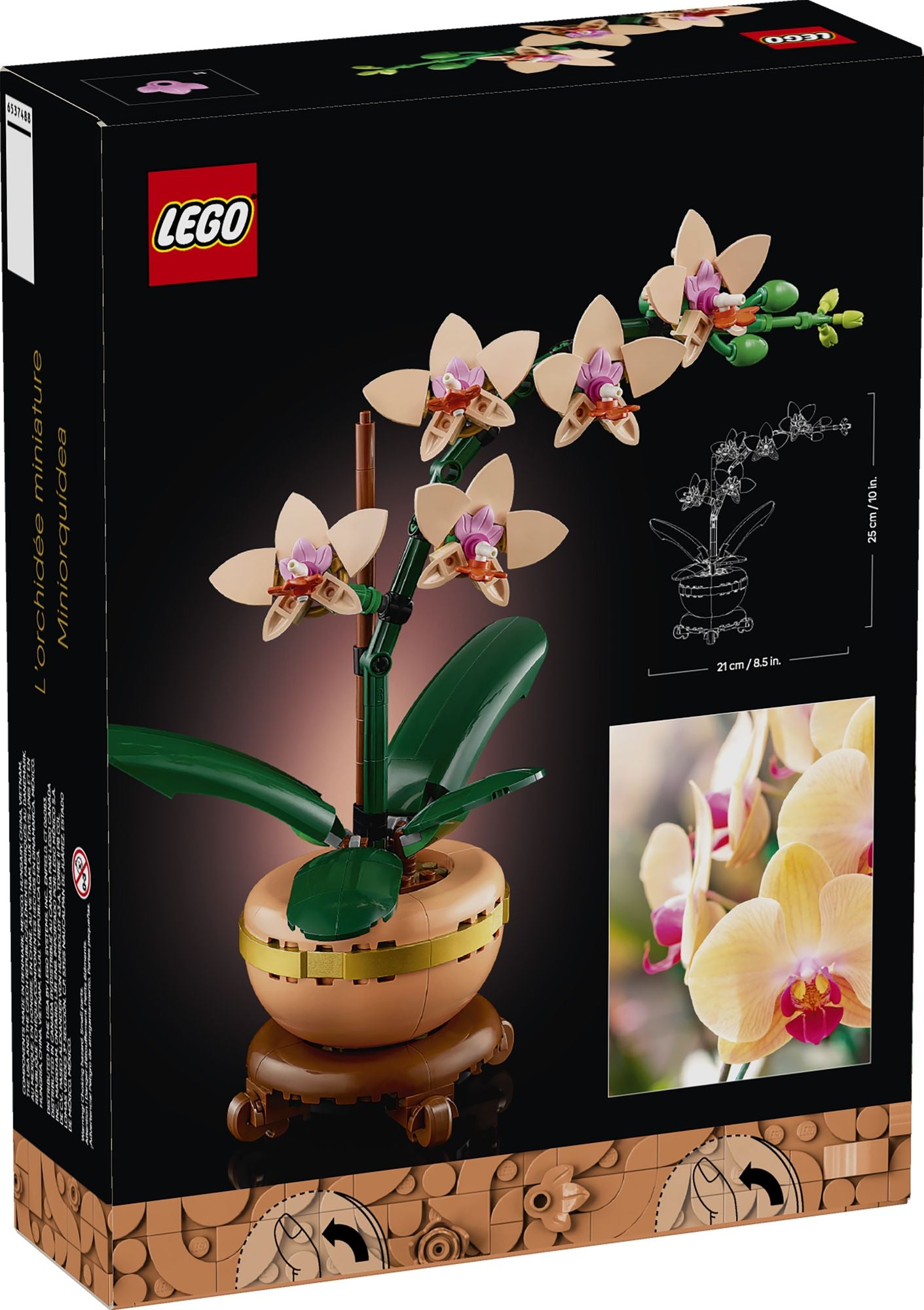 LEGO Botanicals 10343