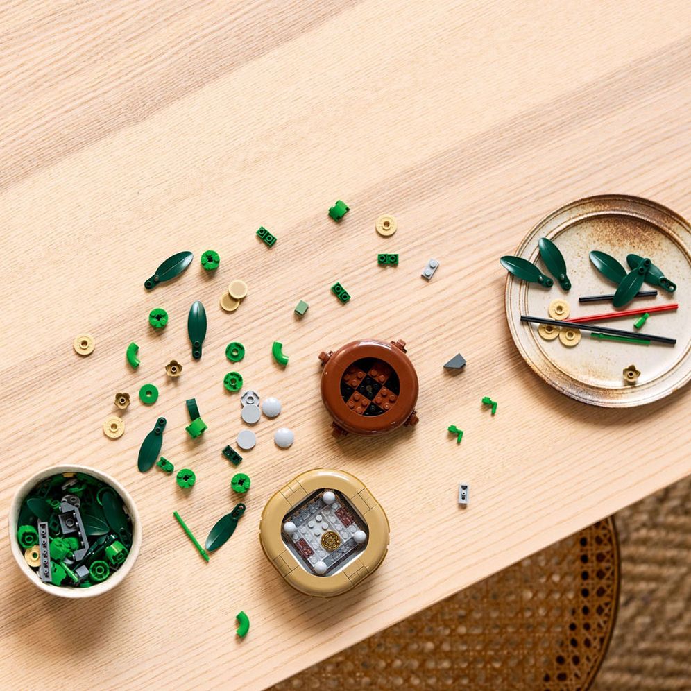 LEGO Botanicals 10344