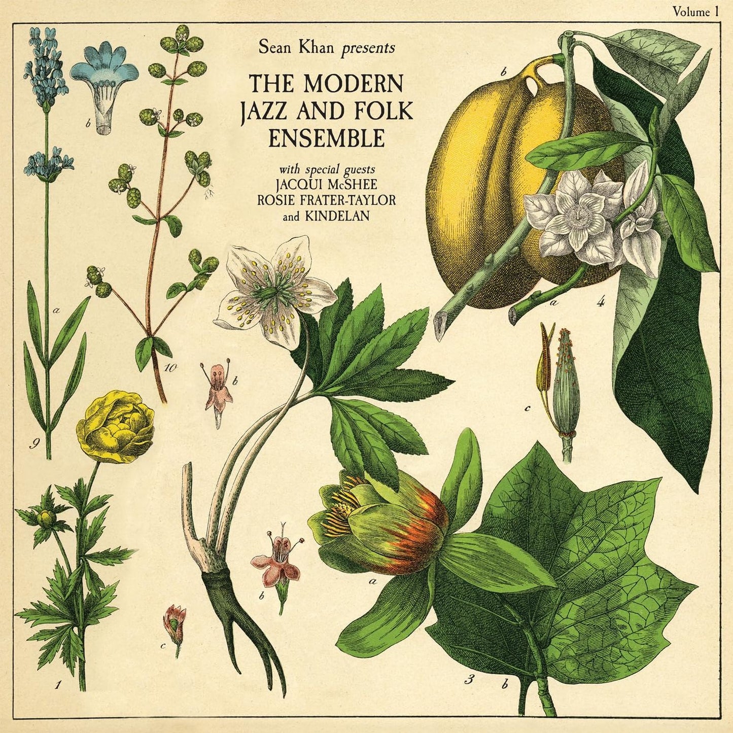 Sean Khan Presents The Modern Jazz & Folk Ensemble (Sean Khan)