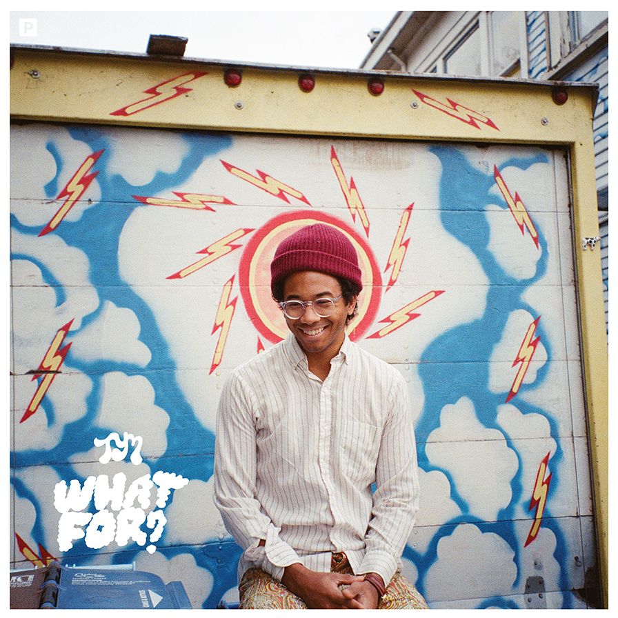 What For? [Lp]