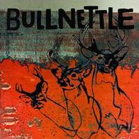 Bullnettle