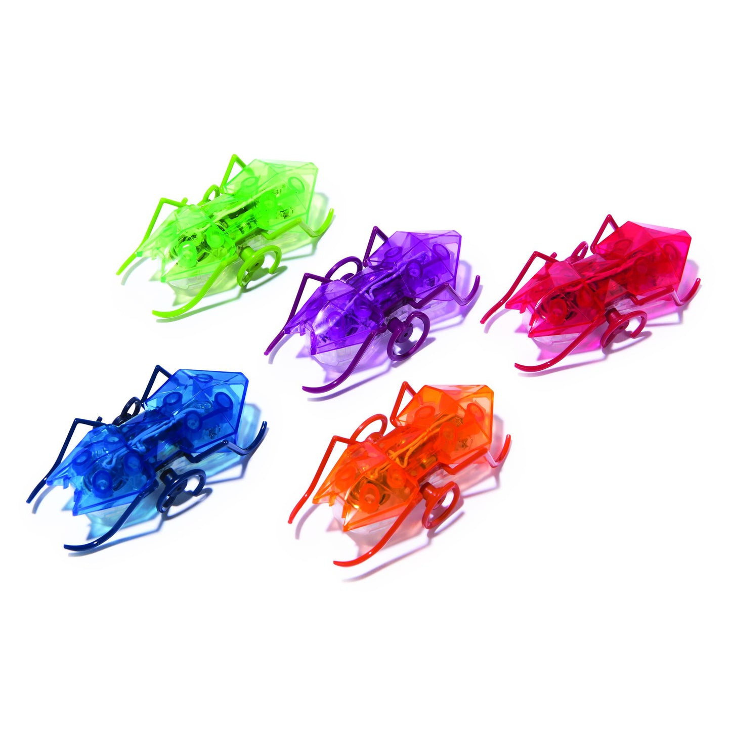 Master Carton HEX Micro Ant Assortment CDU