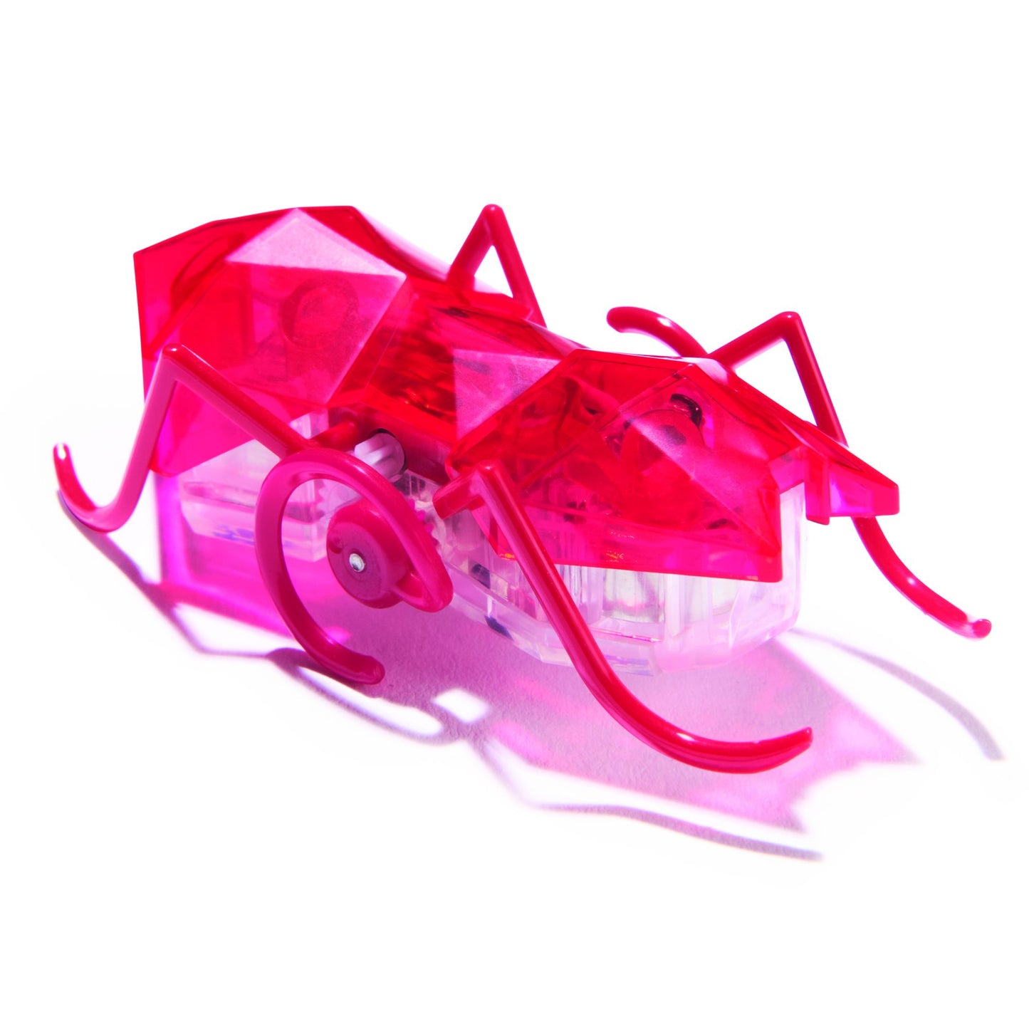 Master Carton HEX Micro Ant Assortment CDU