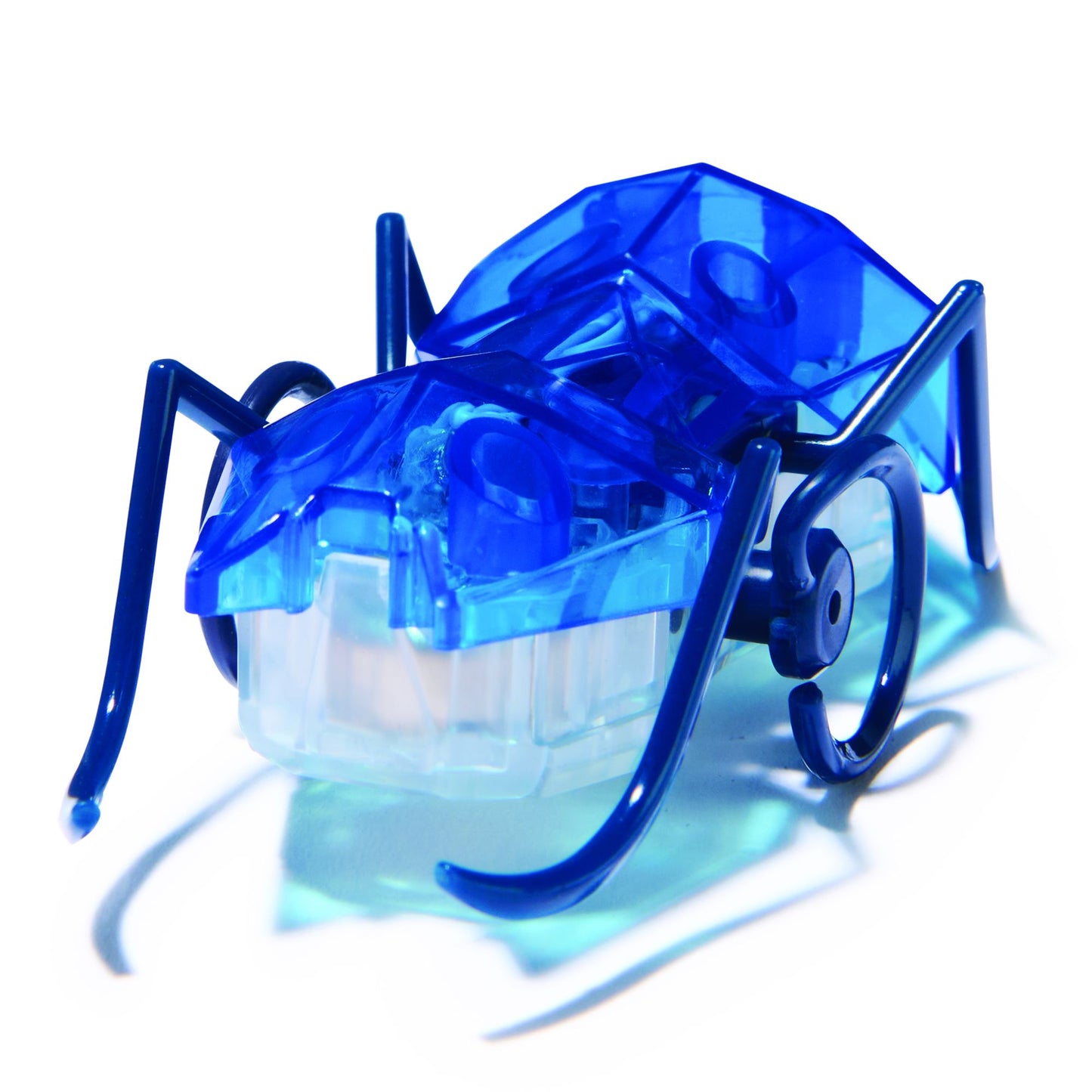 Master Carton HEX Micro Ant Assortment CDU