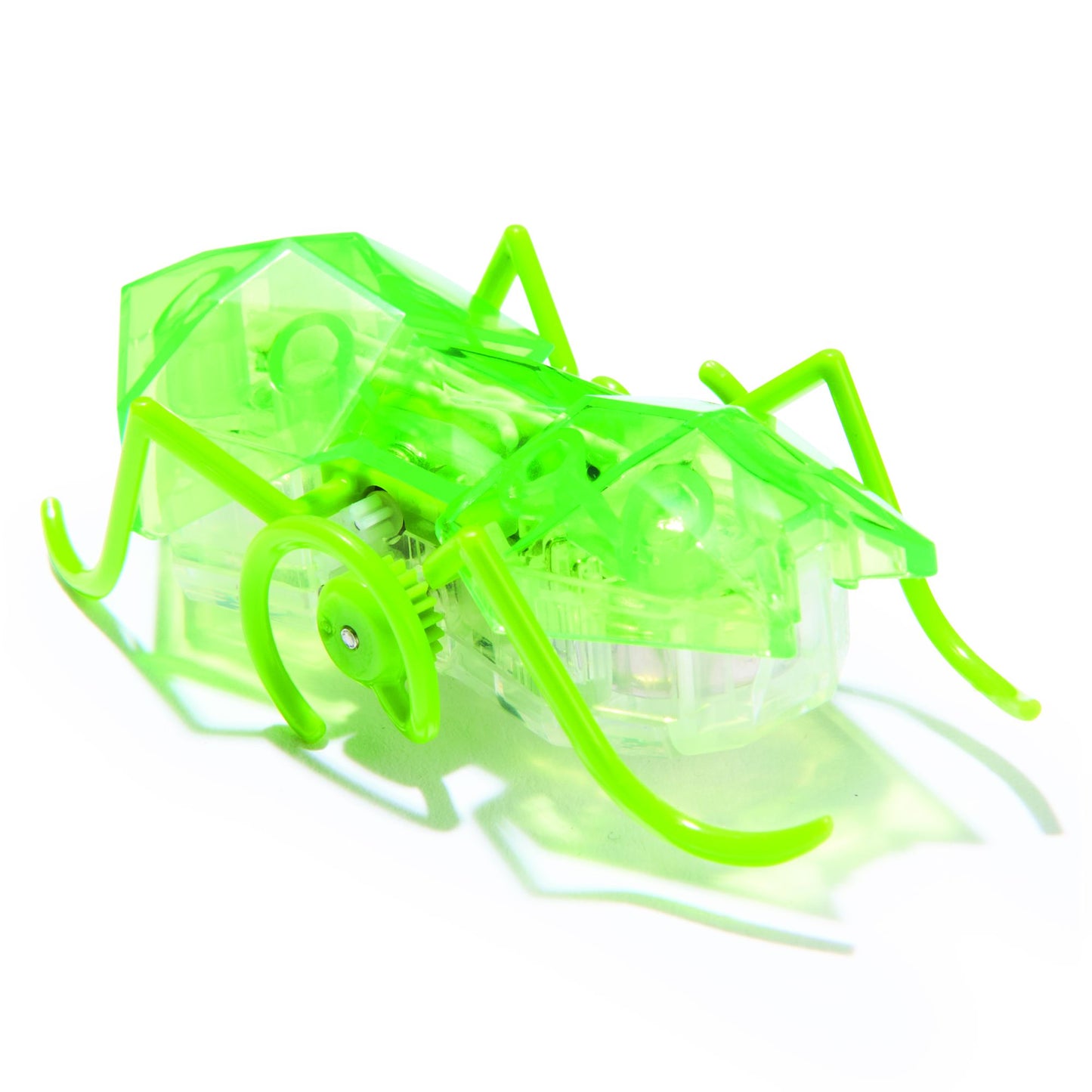 Master Carton HEX Micro Ant Assortment CDU