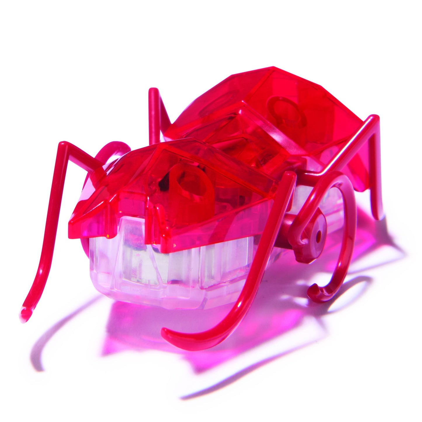 Master Carton HEX Micro Ant Assortment CDU
