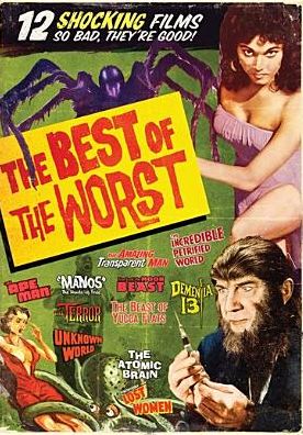 Best Of The Worst: 12 Horror Movie Collection