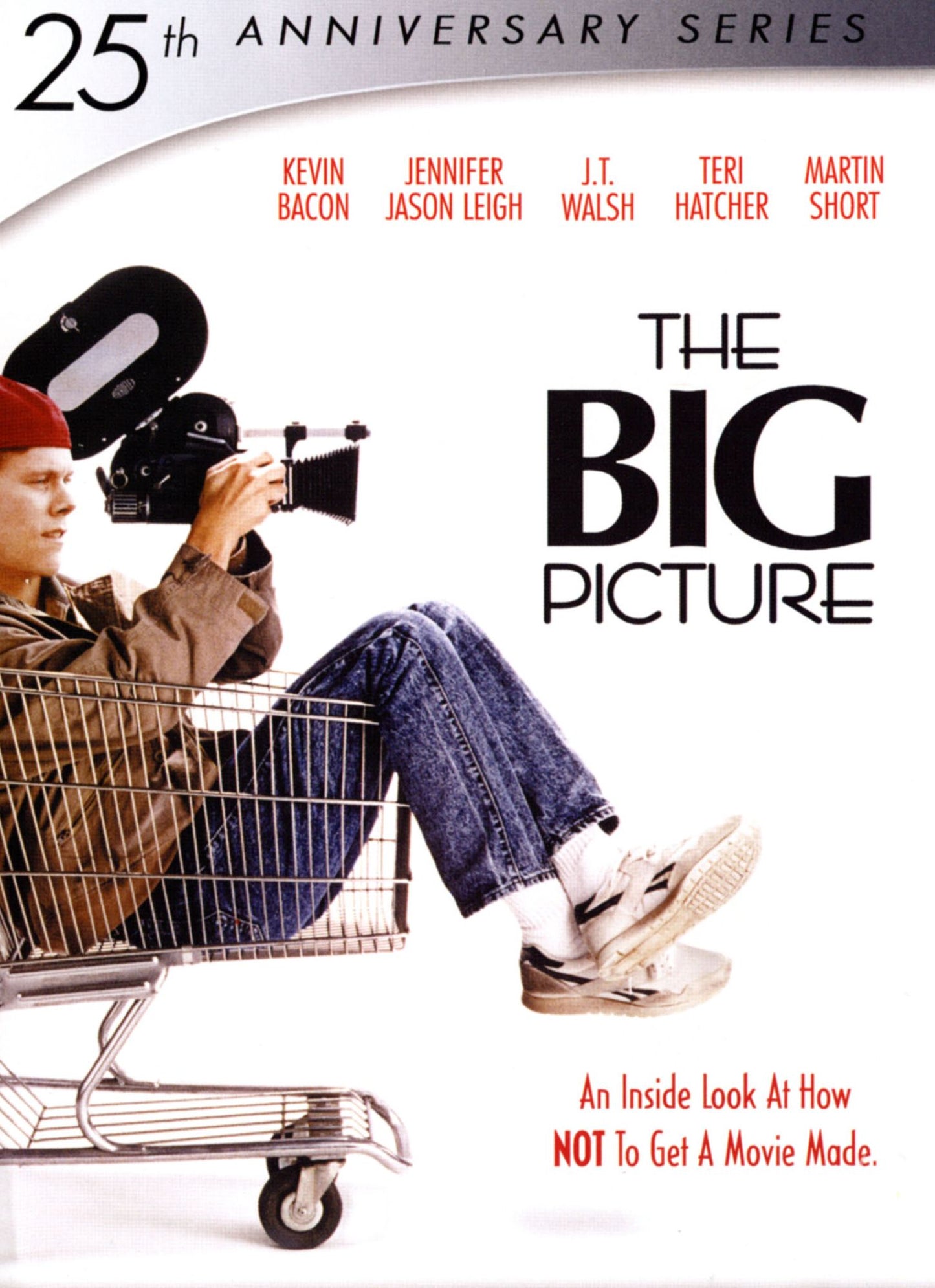 BIG PICTURE (25TH ANNIV)