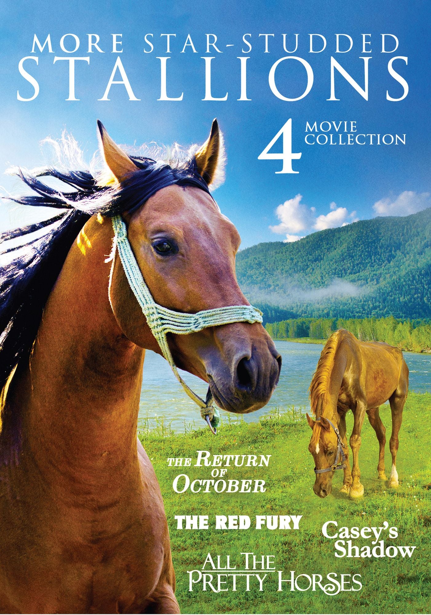More Star-Studded Stallions: 4 Movie Collection