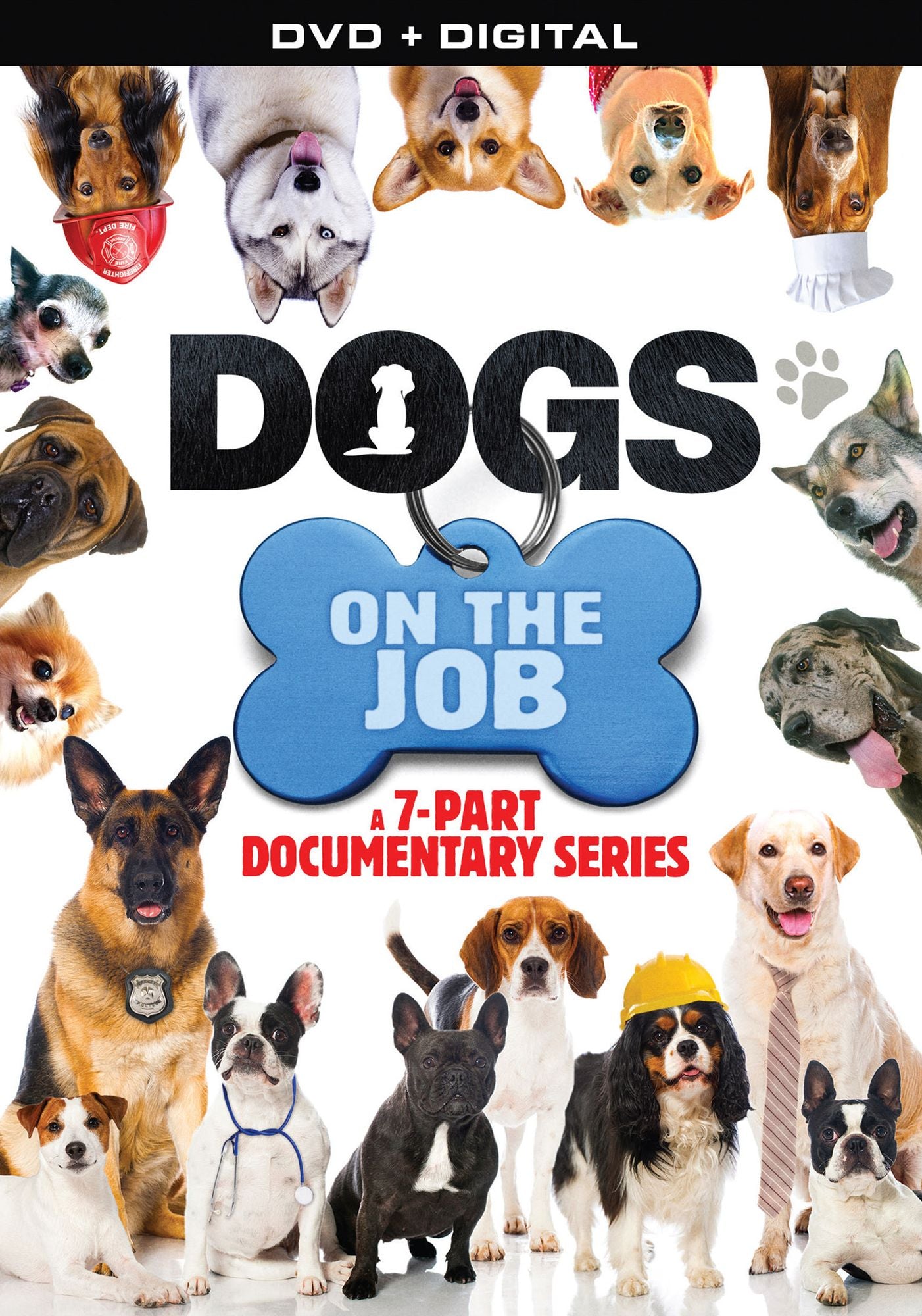 Dogs on the Job: A 7-Part Documentary Series