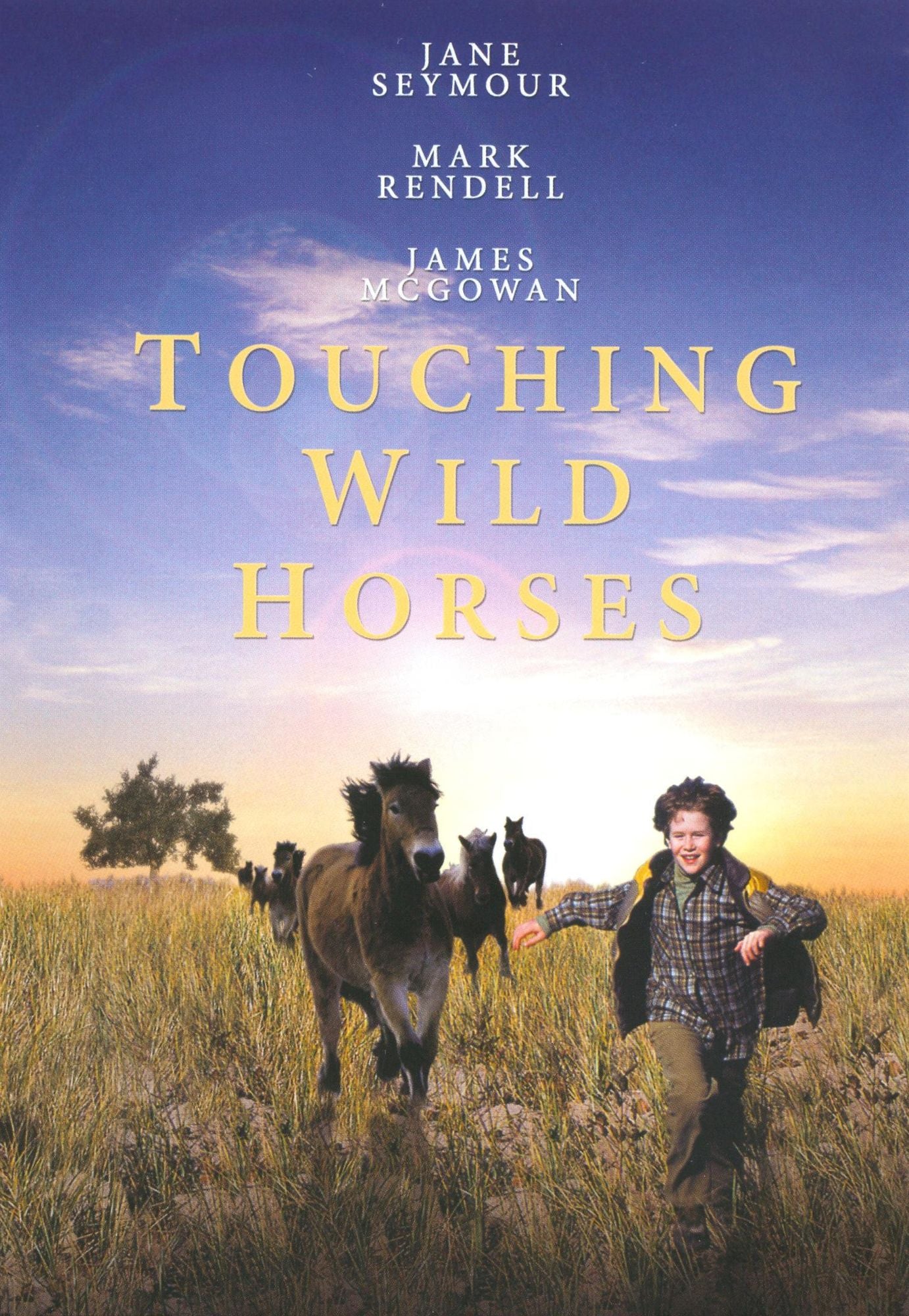 Touching Wild Horses [New Art Work]