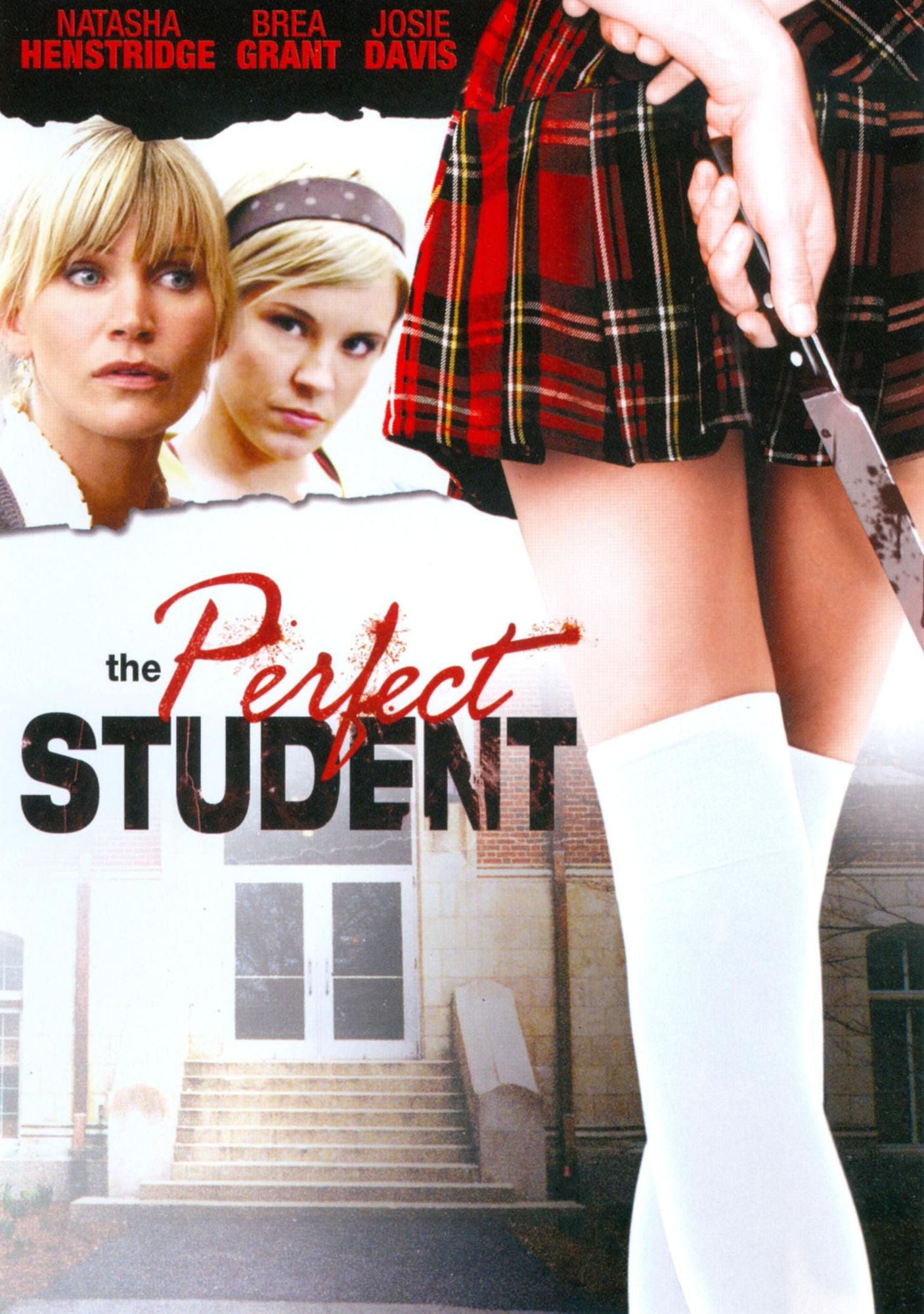 The Perfect Student