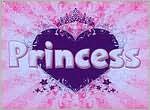 The Prince & Me 2: The Royal Wedding/The Prince and Me: A Royal Honeymoon [With Princess Lunch Box]