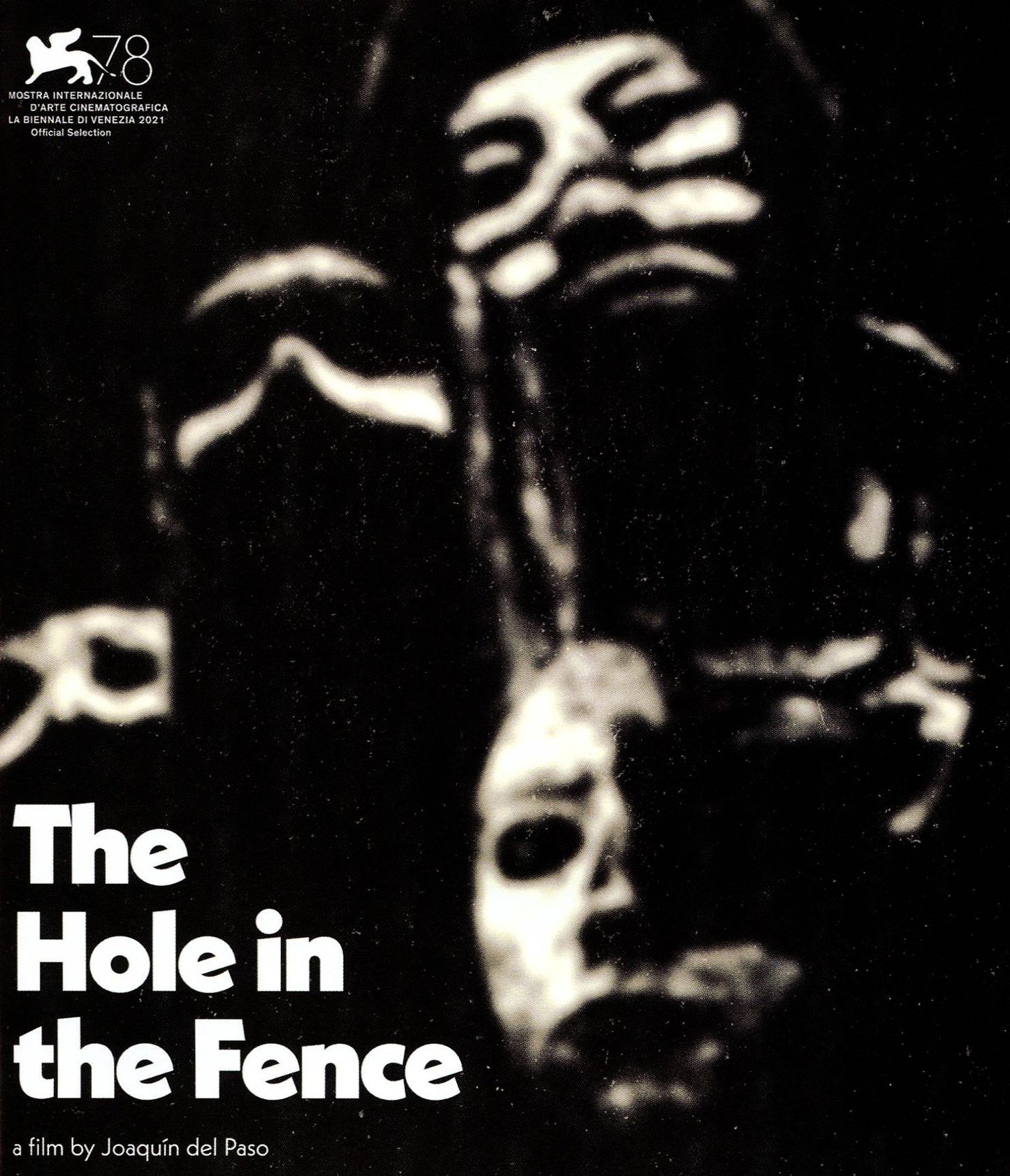 Hole In The Fence