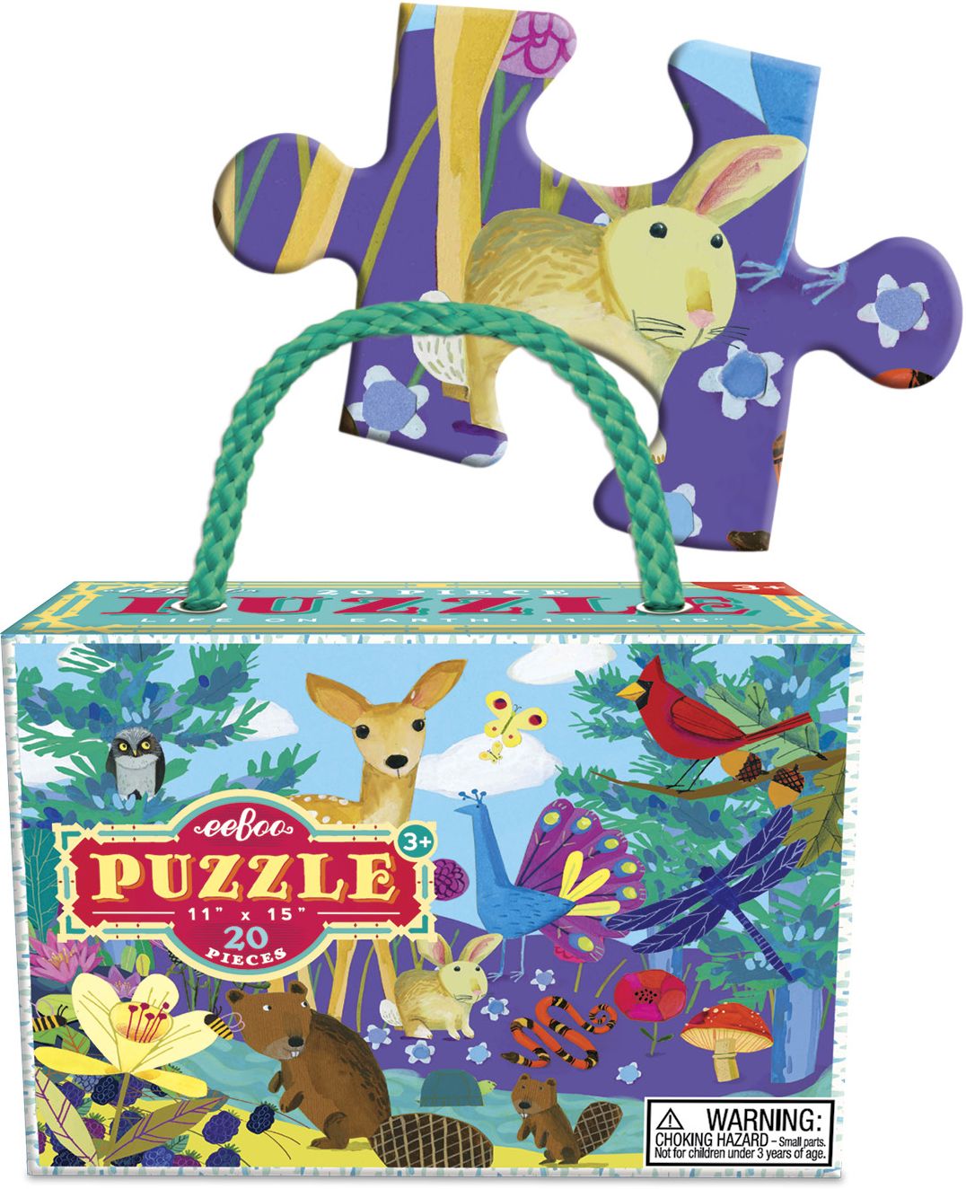 Life on Earth puzzle