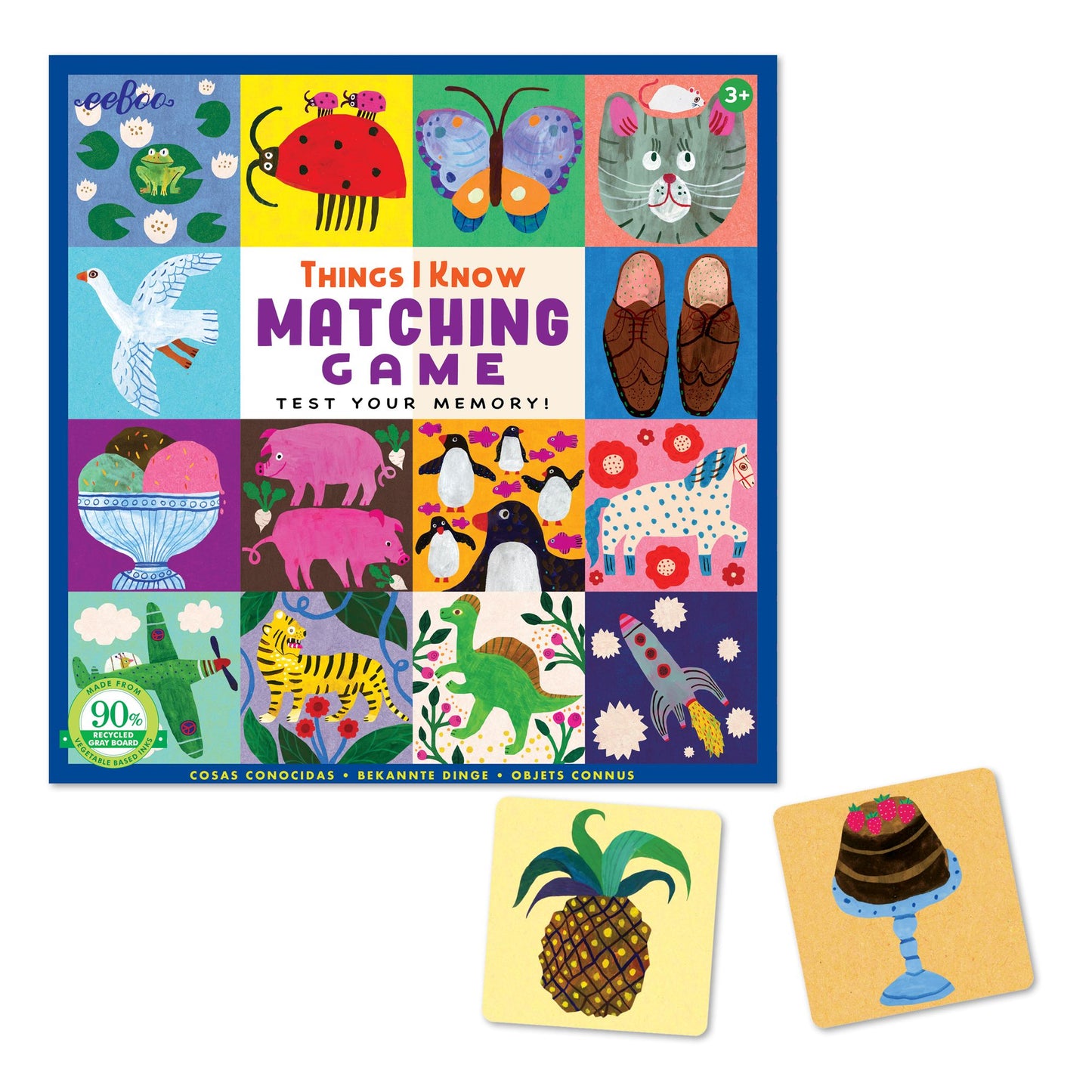 Things I Know Matching Game