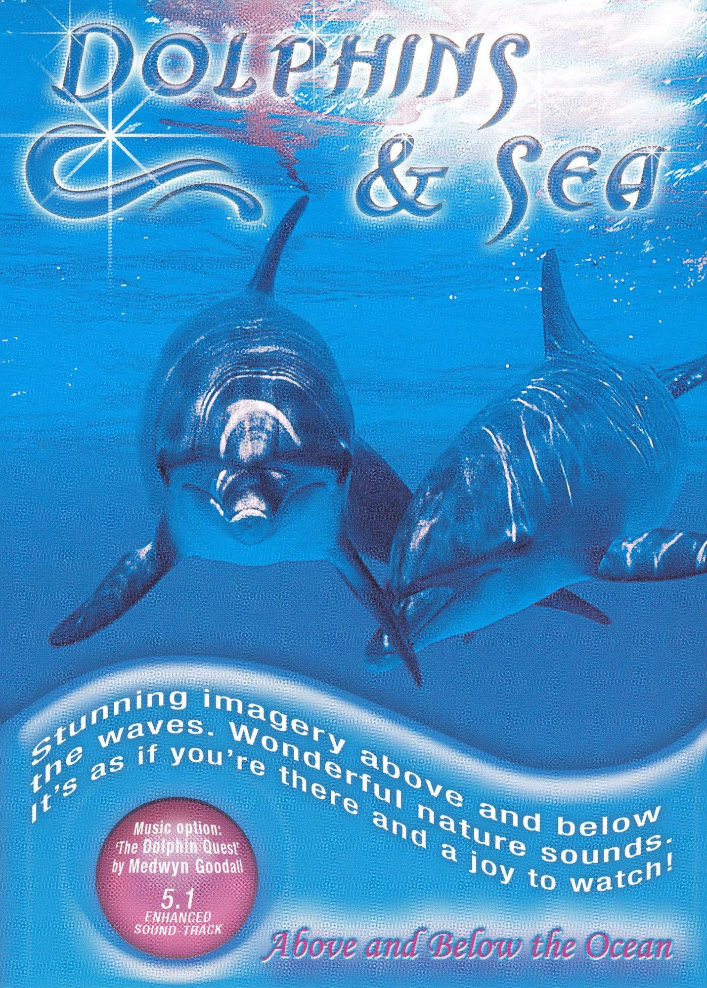 Dolphins & Sea