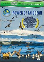Equator: Power of an Ocean
