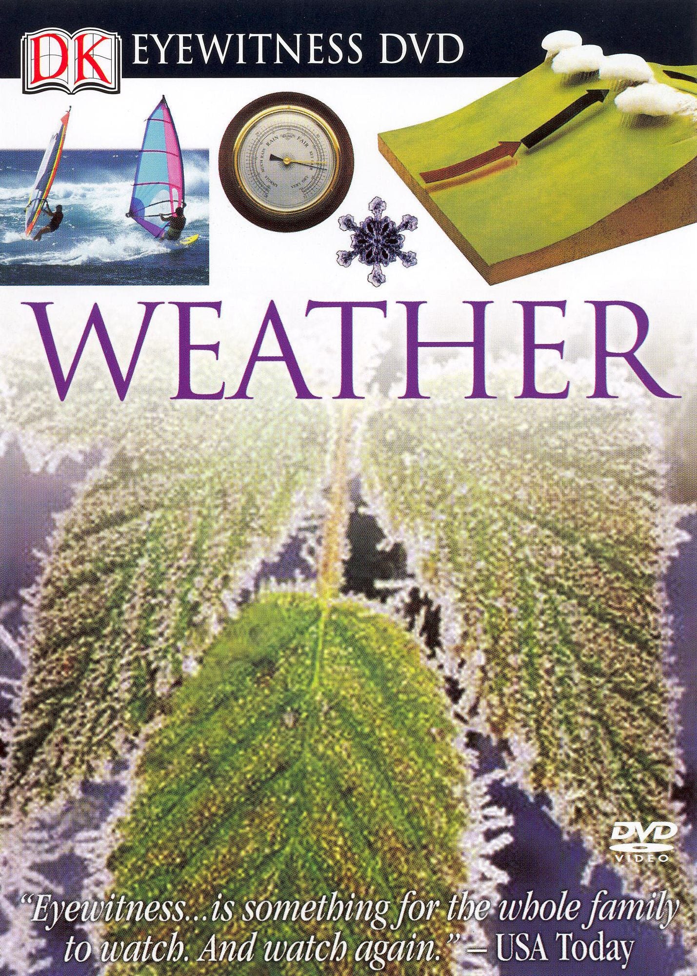 Eyewitness: Weather