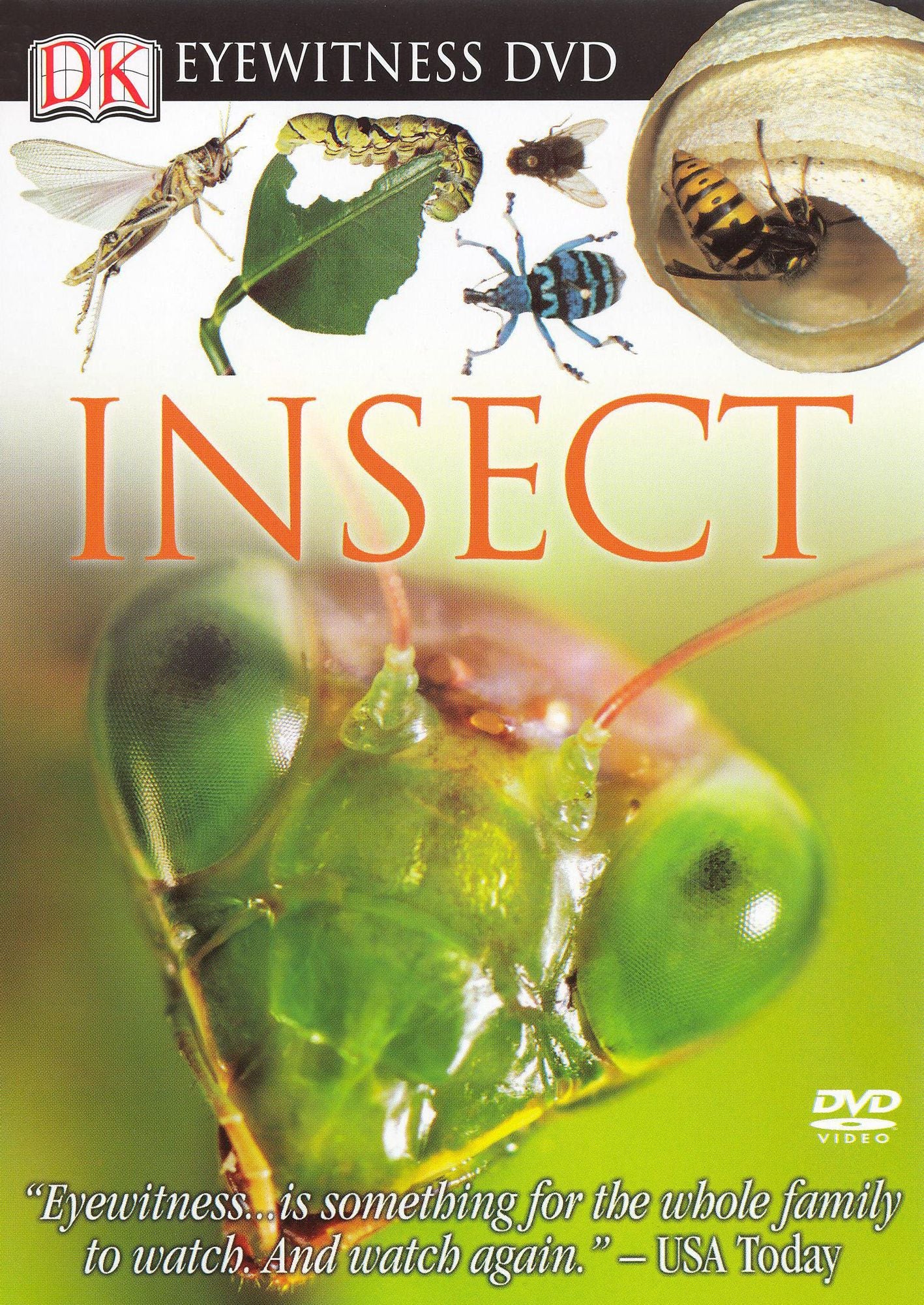 Eyewitness: Insect