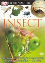 Eyewitness: Insect