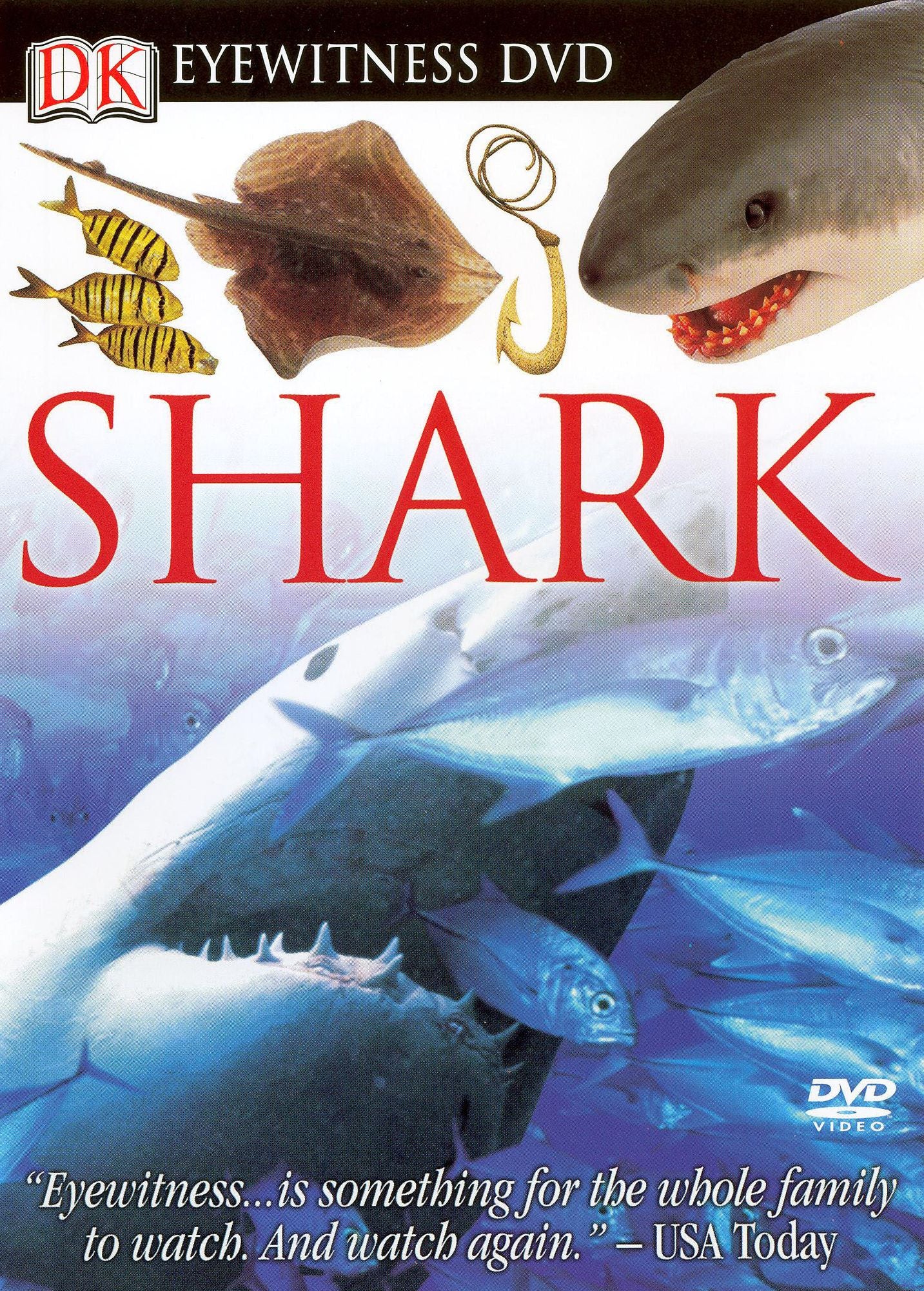 Eyewitness: Shark