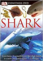 Eyewitness: Shark